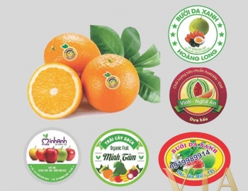 Nhãn Dán Trái Cây Xuất Khẩu
